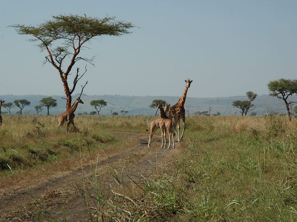 Hidden Gems in Kenya