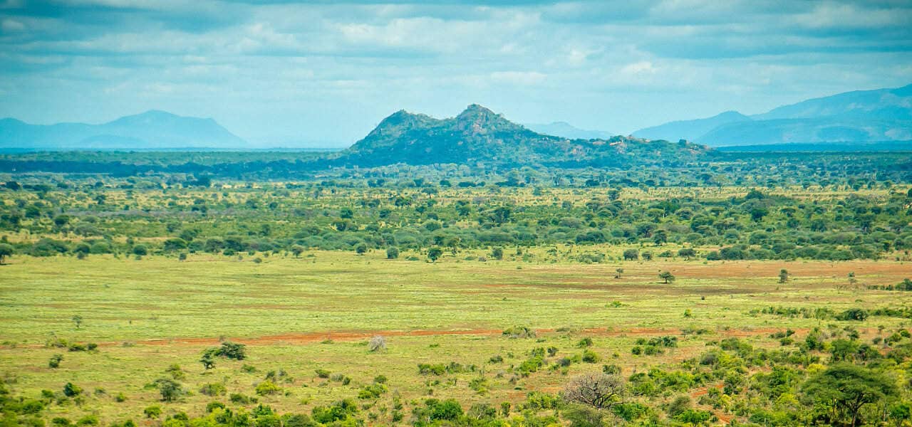 Meru National Park in Kenya