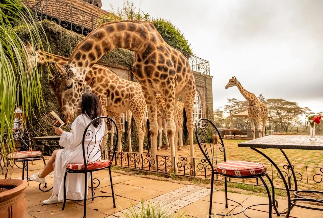 Giraffe Manor Nairobi