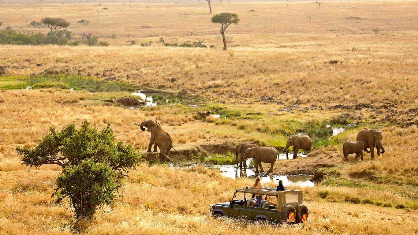 Lewa Wildlife Conservancy