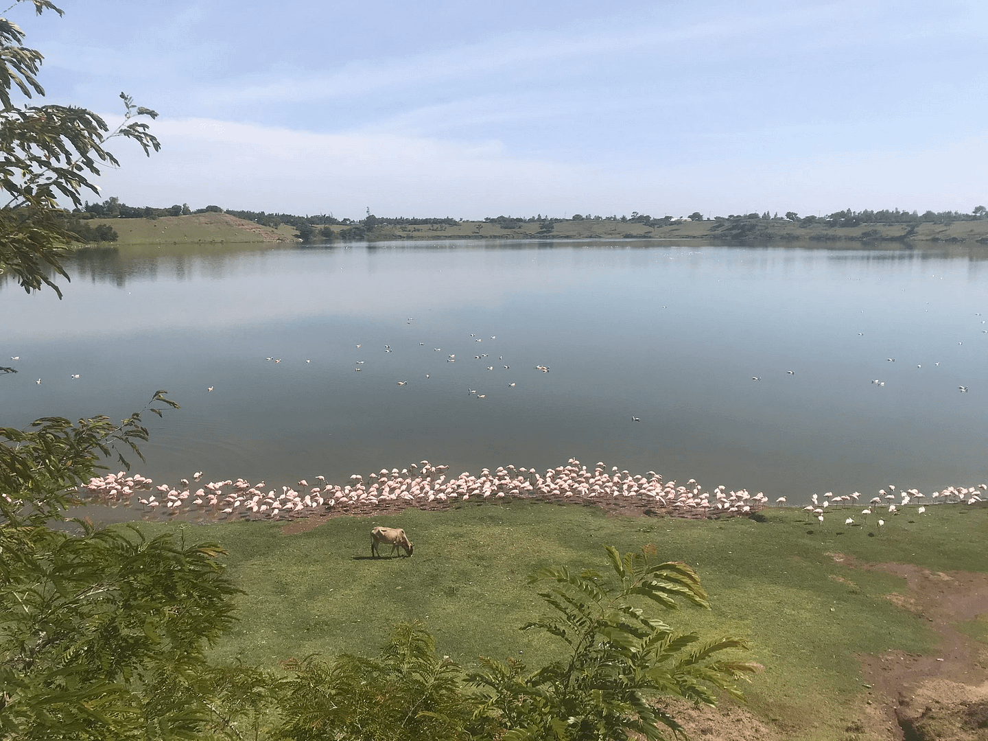 Lake Simbi National Sanctuary
