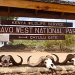 Top 5 National Parks in Kenya