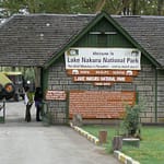 10 Best Hotels in Nakuru