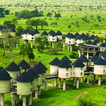 Salt Lick Safari Lodge