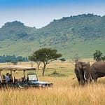 Best Game Drives in Kenya