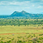 Meru National Park in Kenya