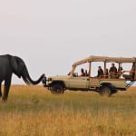 Discovering the Magic of Kenya