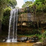 Shimba Hills National Reserve