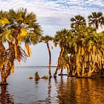 Sibiloi National Park