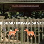 Kisumu Impala Sanctuary