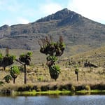 Mount Elgon National Park