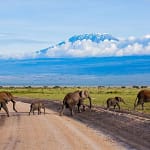 Amboseli National Park