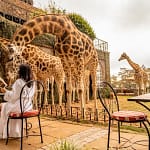 Giraffe Manor Nairobi