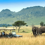 Safari Destinations In Kenya