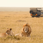 Best Tours in Kenya