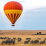 Chinese Tourists: 5 Reasons to Choose Kenya for Your Next Travel Destination