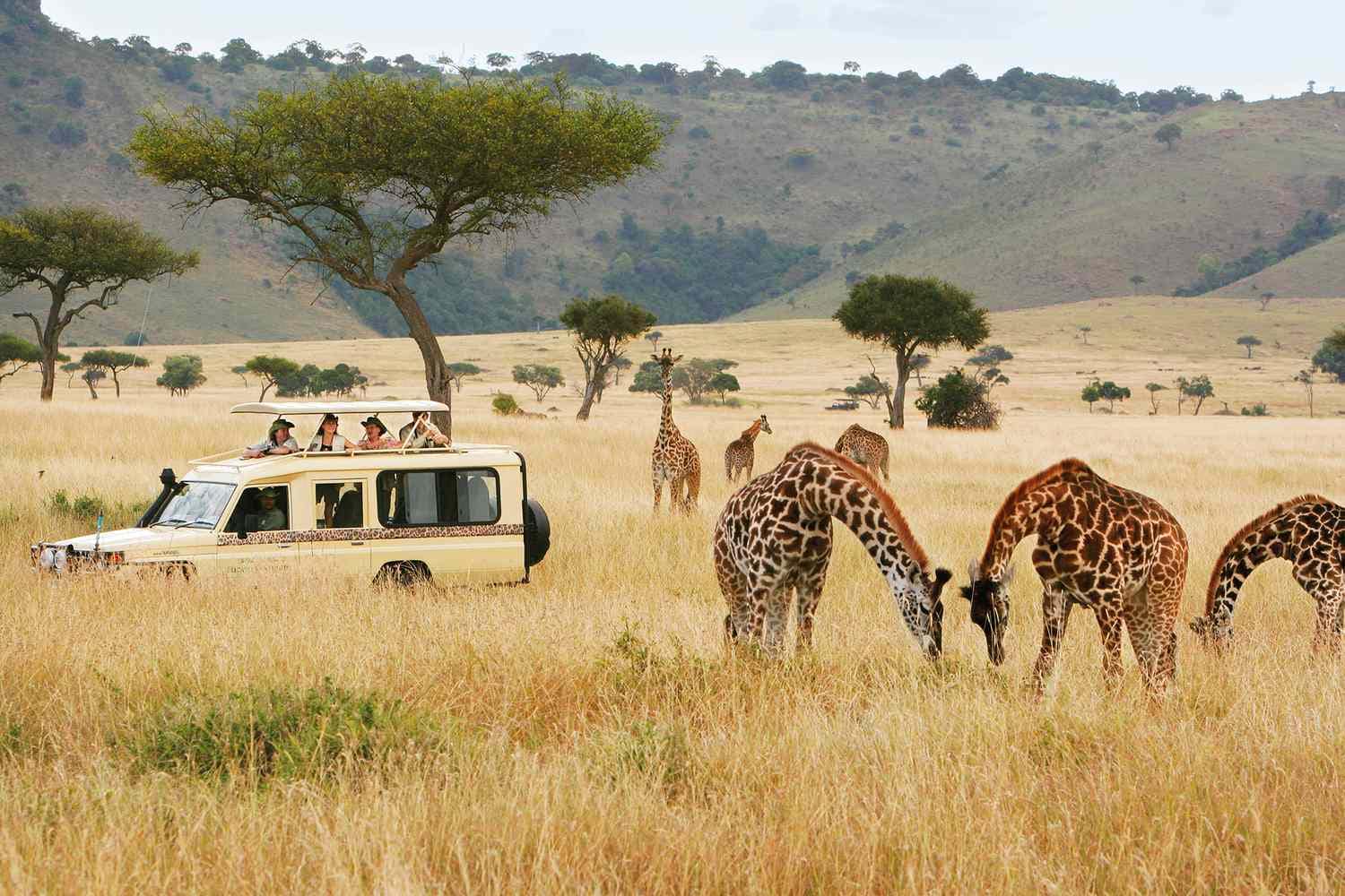 Best Safari in Kenya