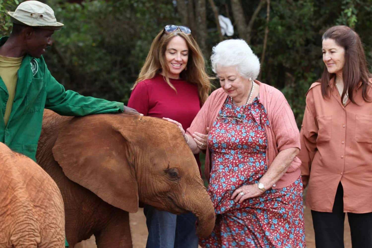 David Sheldrick Wildlife Trust