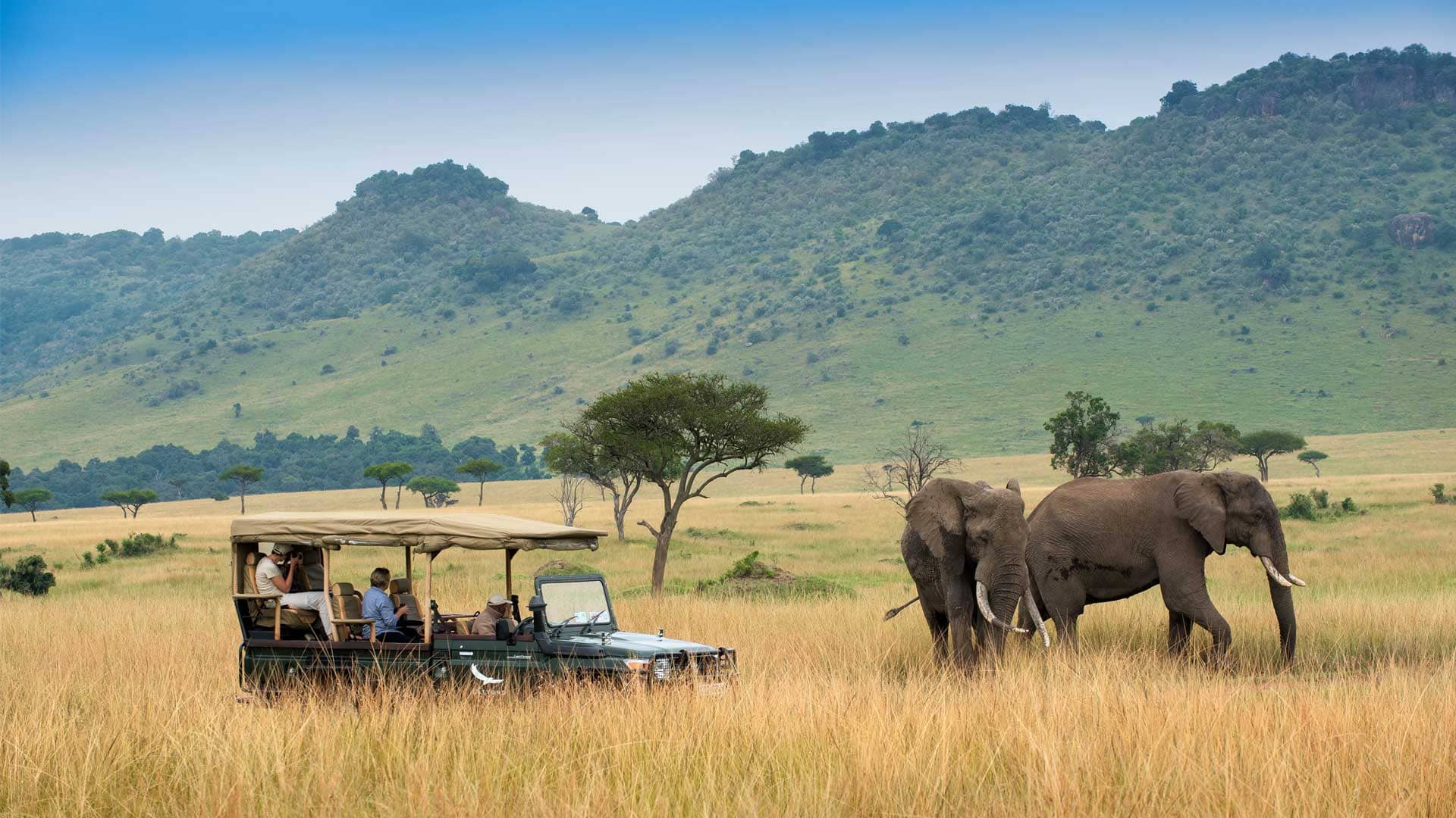 Best Game Drives in Kenya
