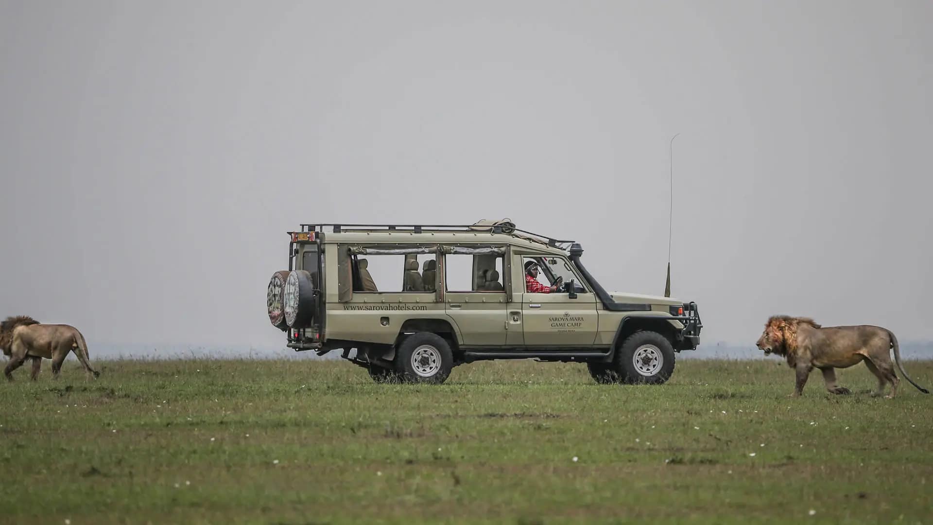 Safari Packages in Kenya