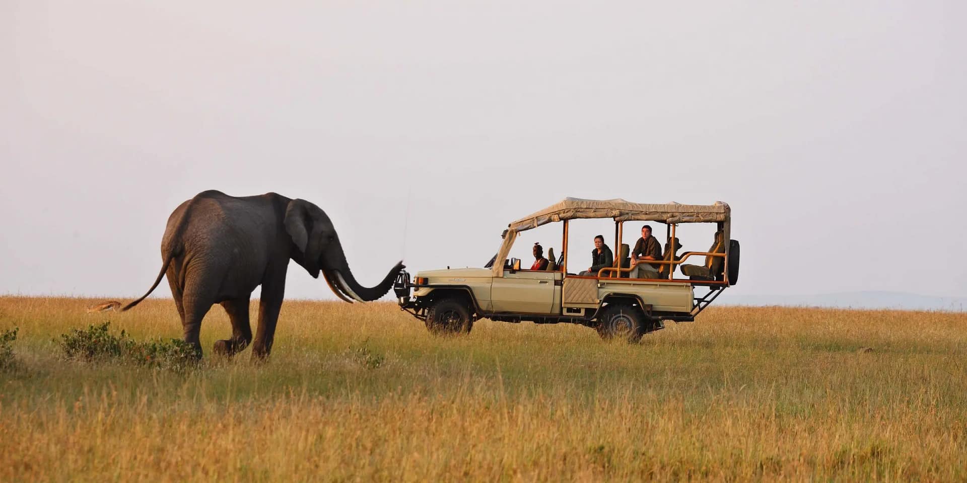 Tour Kenya