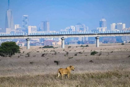 Nairobi National Park