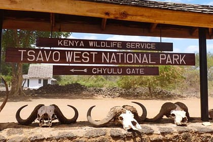 Top 5 National Parks in Kenya