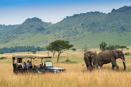Best Game Drives in Kenya