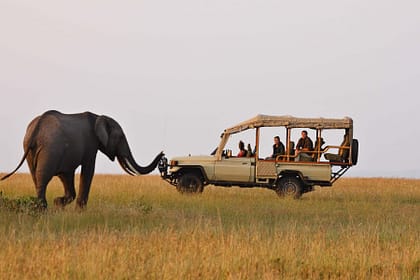 Discovering the Magic of Kenya