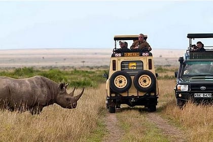 Kenyan Wildlife