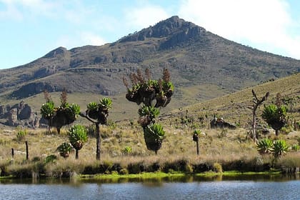 Mount Elgon National Park