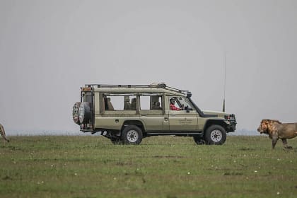Safari Packages in Kenya