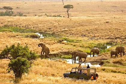 Lewa Wildlife Conservancy