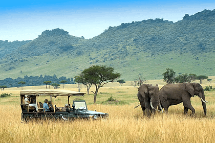Safari Destinations In Kenya