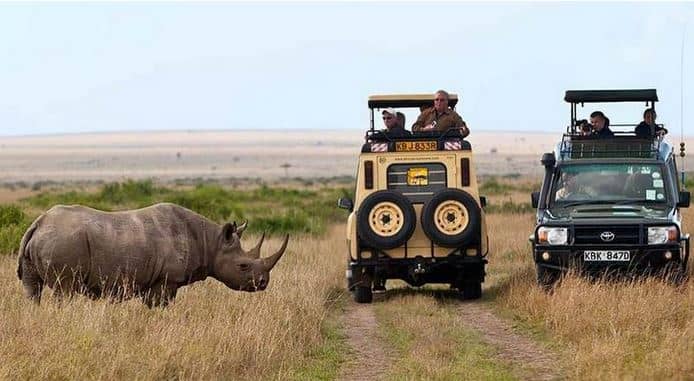 Kenyan Wildlife
