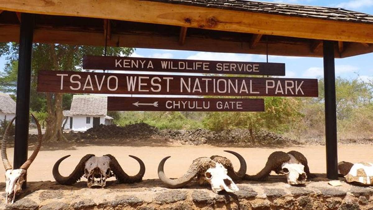 Top 5 National Parks in Kenya