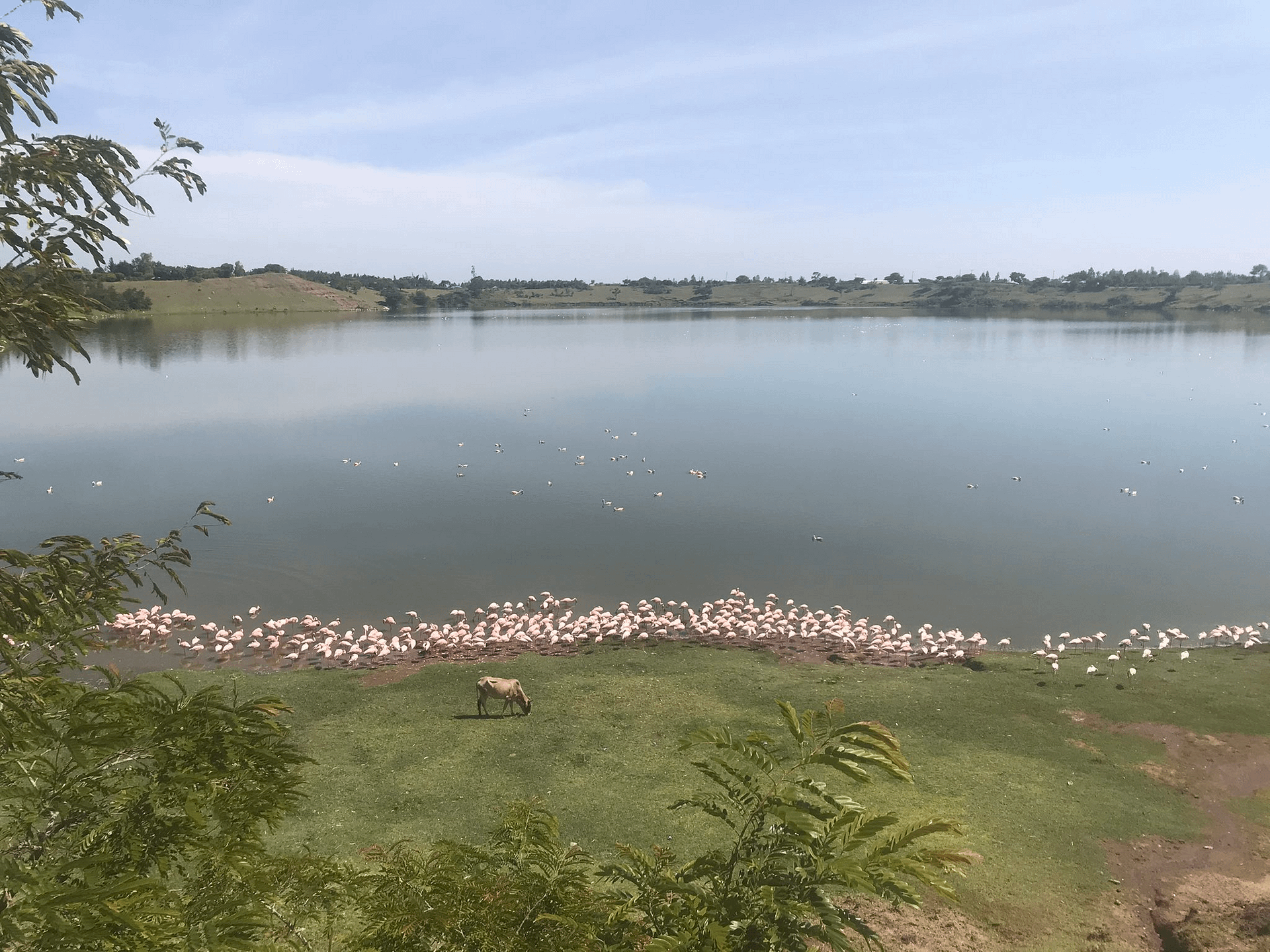 Lake Simbi National Sanctuary