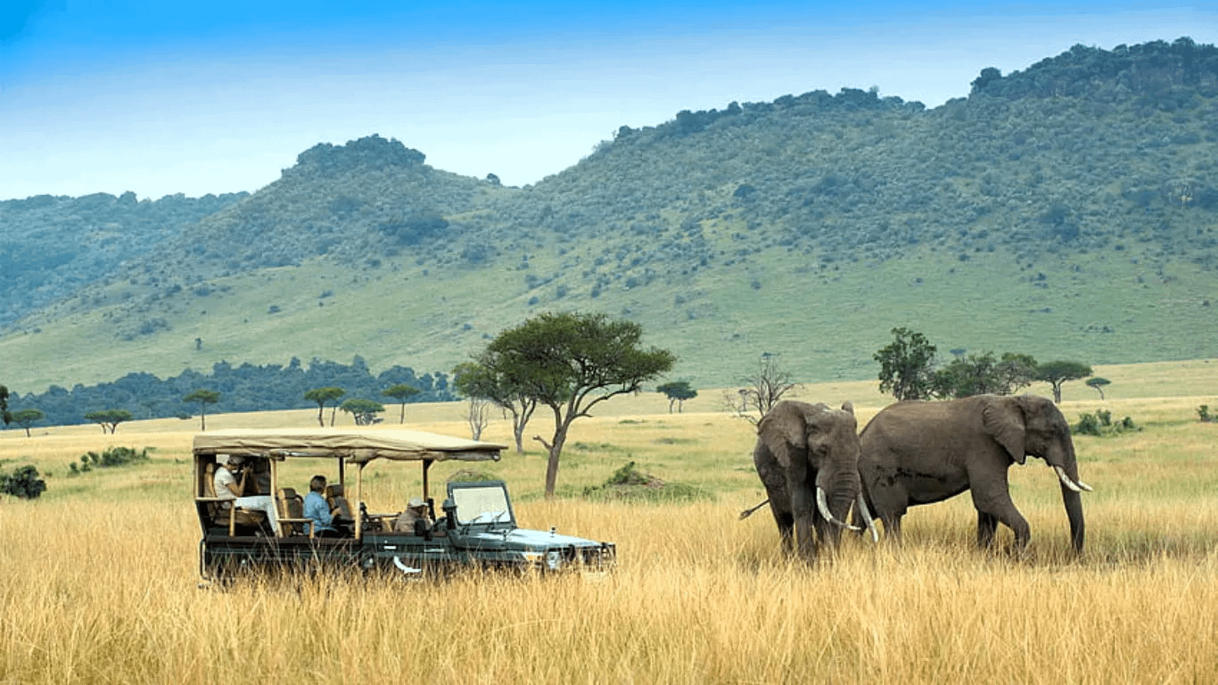 Safari Destinations In Kenya
