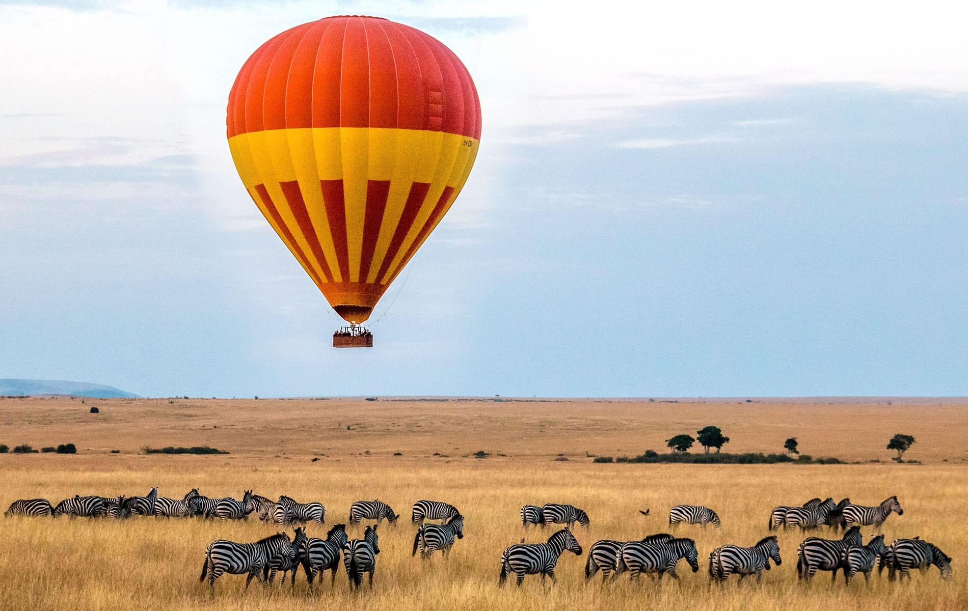 Chinese Tourists: 5 Reasons to Choose Kenya for Your Next Travel Destination